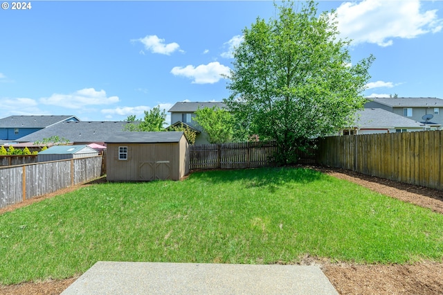 view of yard with a storage unit