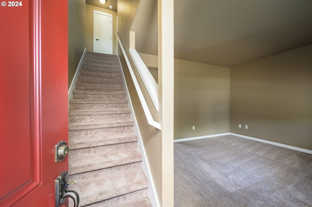 stairway featuring carpet floors