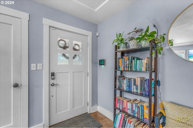 entryway featuring wood-type flooring