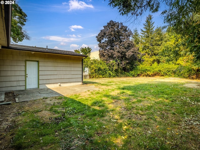 view of yard featuring a patio area