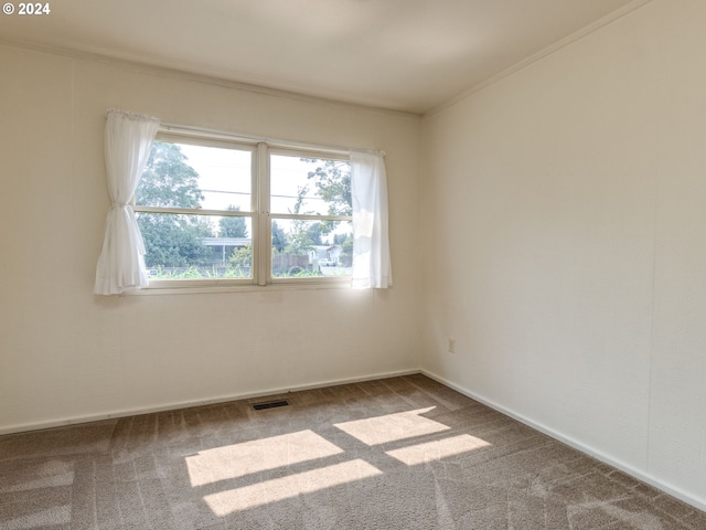 unfurnished room featuring crown molding and carpet