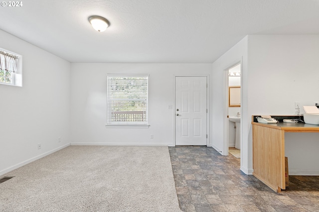 carpeted foyer entrance featuring a textured ceiling and a healthy amount of sunlight