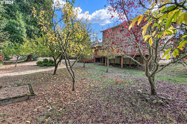 view of yard featuring a deck