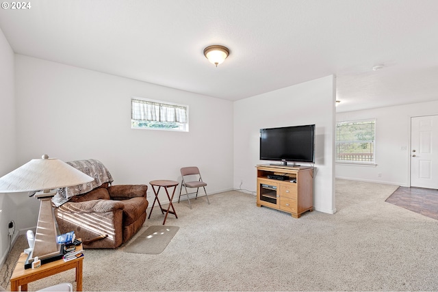 carpeted living room featuring plenty of natural light