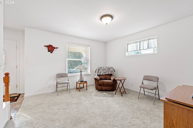 sitting room with carpet