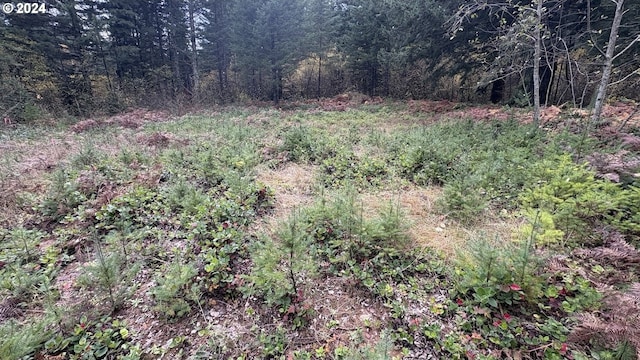 32218 NE 86th St, Camas, WA 98607