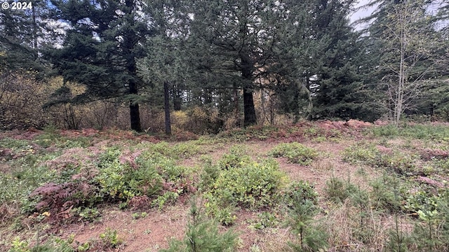 32218 NE 86th St, Camas, WA 98607