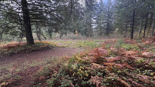 32218 NE 86th St, Camas, WA 98607