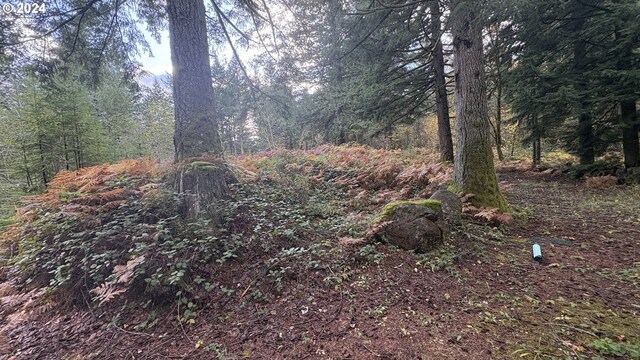 32218 NE 86th St, Camas, WA 98607