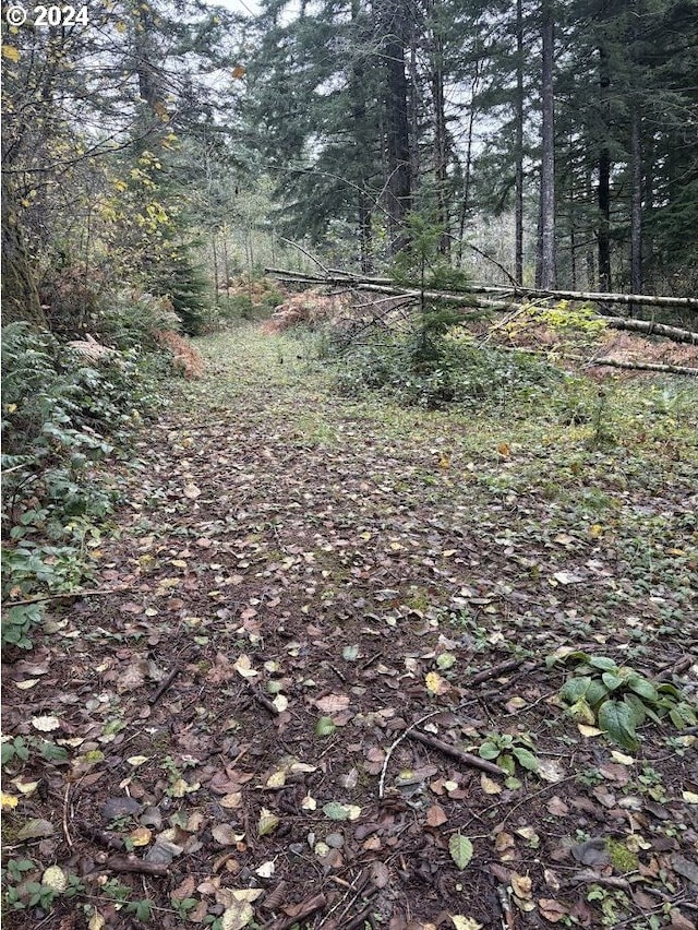 32218 NE 86th St, Camas, WA 98607