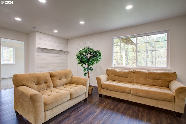 living room with a healthy amount of sunlight and dark hardwood / wood-style floors