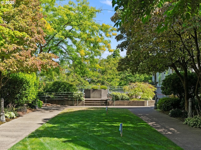 view of home's community with a yard