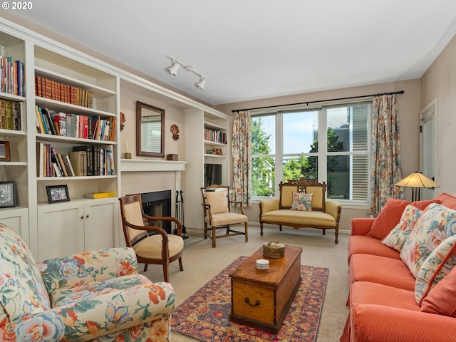 living area featuring light colored carpet and track lighting