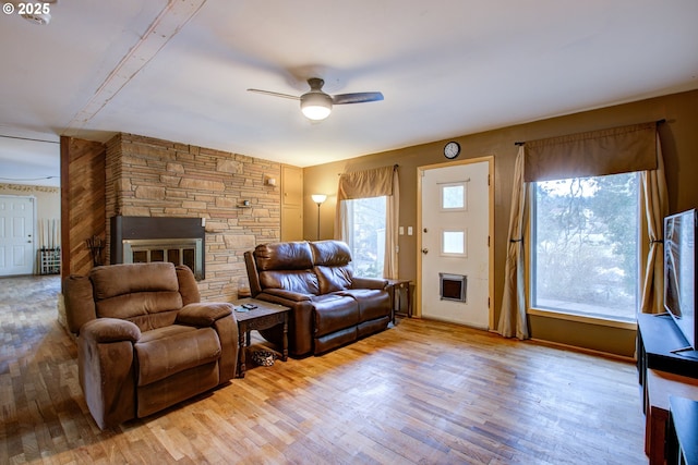 living room with a wealth of natural light, light hardwood / wood-style floors, and ceiling fan