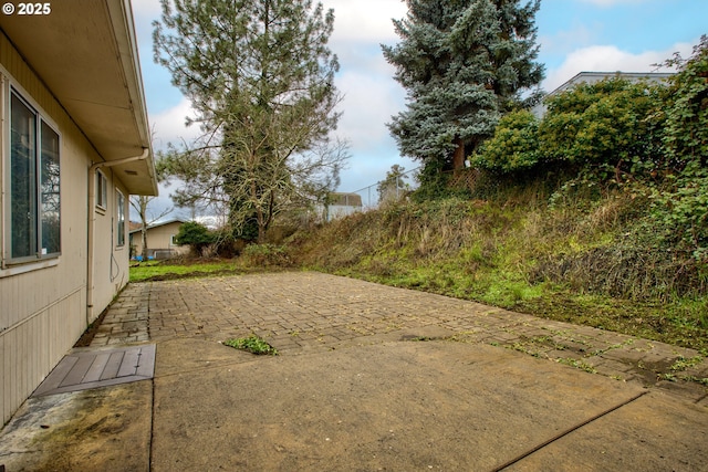 view of yard featuring a patio