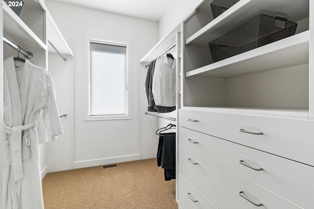 walk in closet with light colored carpet