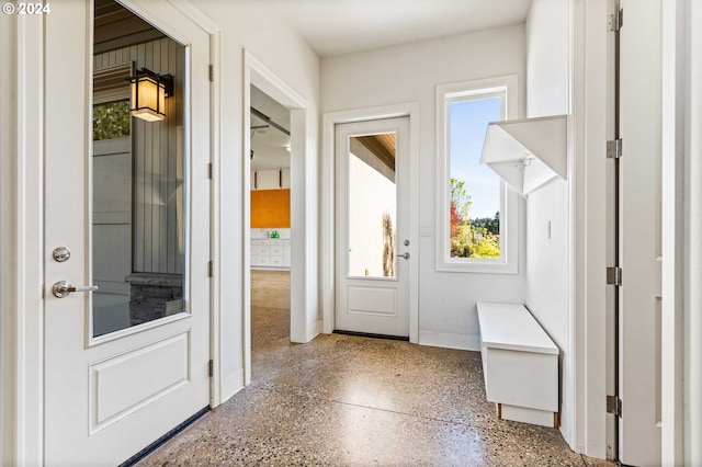 entrance foyer featuring plenty of natural light