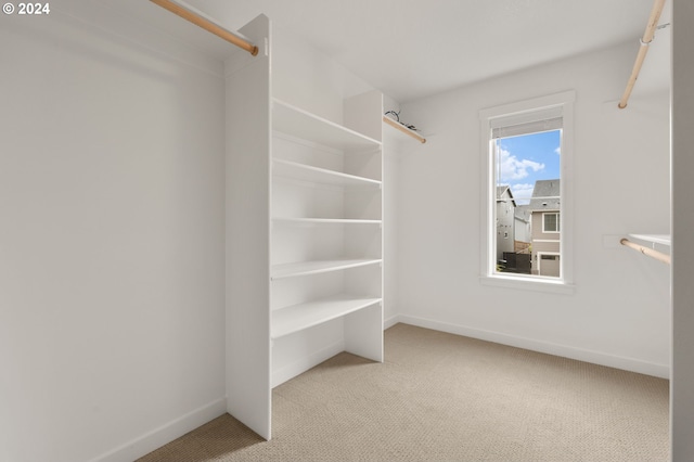 walk in closet with light colored carpet