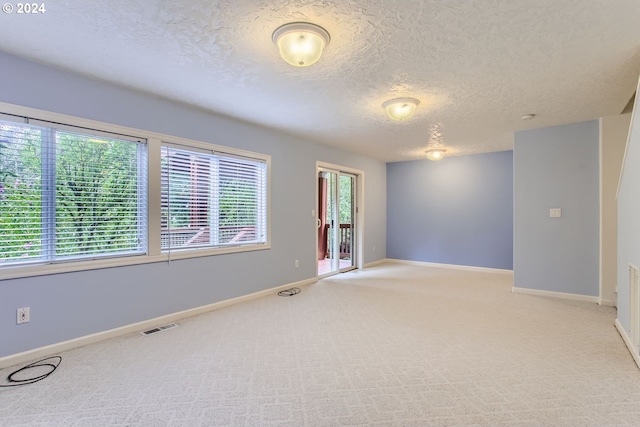 empty room featuring a wealth of natural light, a textured ceiling, and light colored carpet