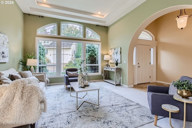 living room with a high ceiling and a raised ceiling