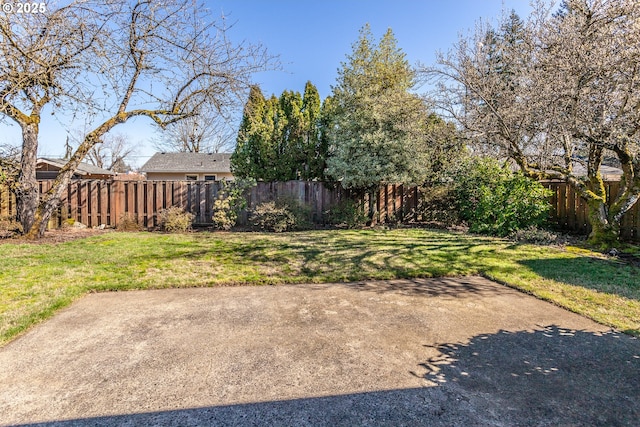 view of yard featuring a fenced backyard