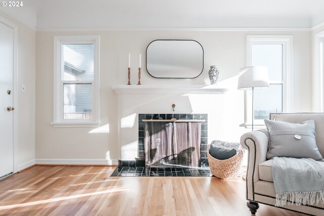 living room with wood-type flooring