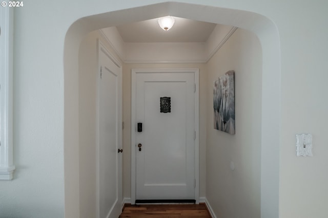 doorway to outside featuring dark wood-type flooring