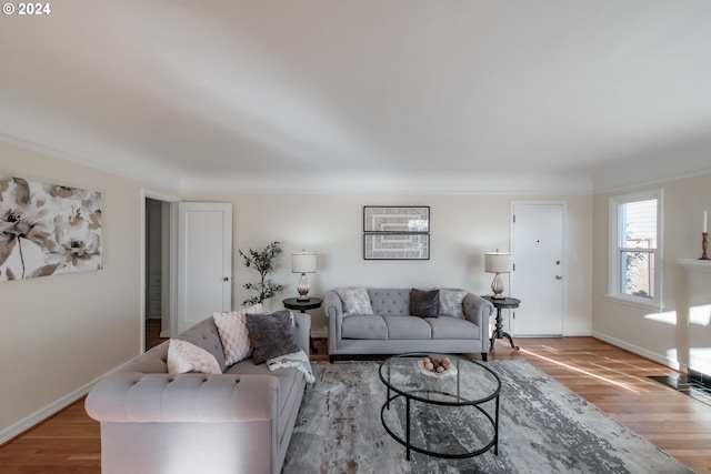 living room featuring wood-type flooring