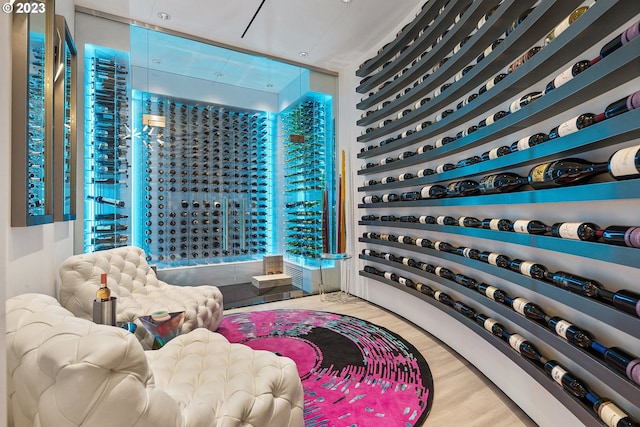 wine room featuring hardwood / wood-style floors