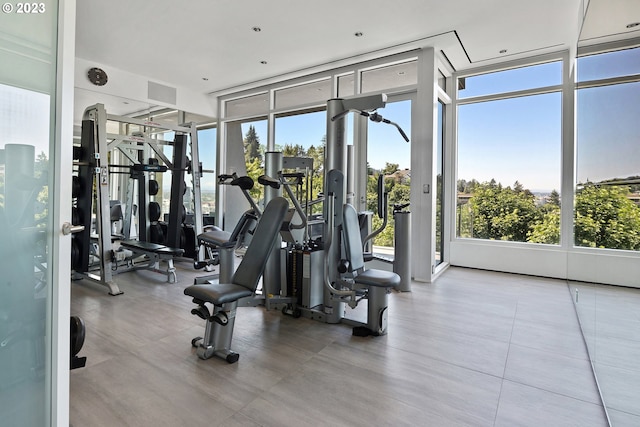 exercise room featuring a wealth of natural light