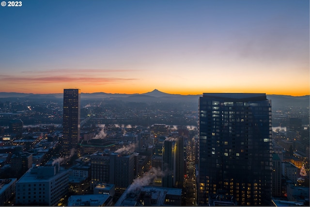 property's view of city featuring a mountain view