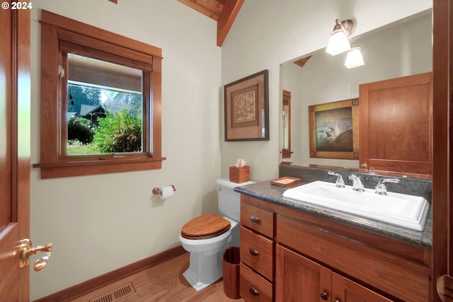 bathroom with vanity, hardwood / wood-style floors, and toilet