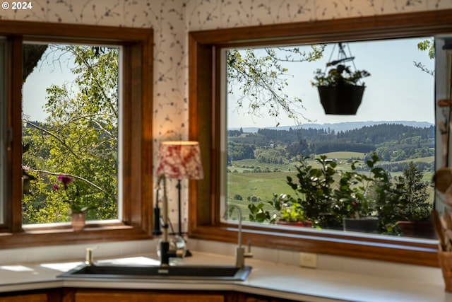 details with a rural view and sink