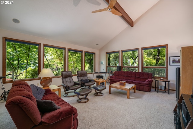 living room featuring ceiling fan, beamed ceiling, high vaulted ceiling, and carpet floors