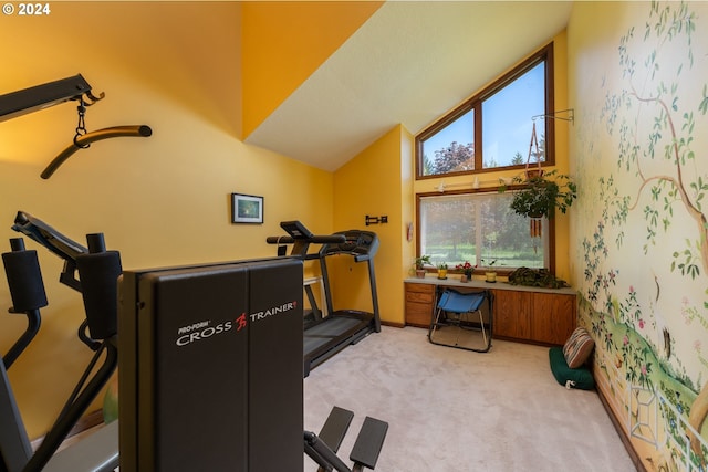 exercise room featuring light colored carpet and vaulted ceiling