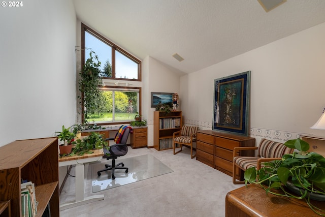 carpeted home office with lofted ceiling and a textured ceiling