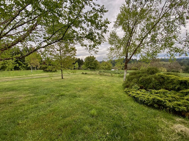 view of yard with a rural view