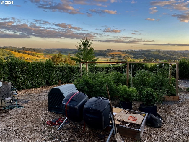 yard at dusk featuring a rural view