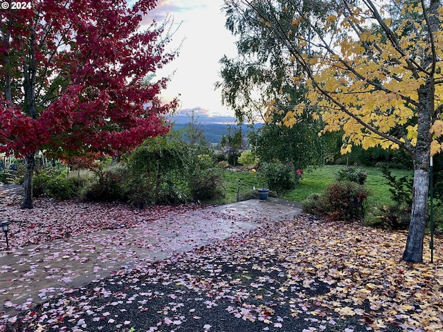 view of surrounding community