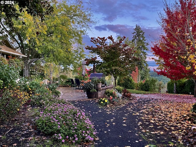 view of yard at dusk