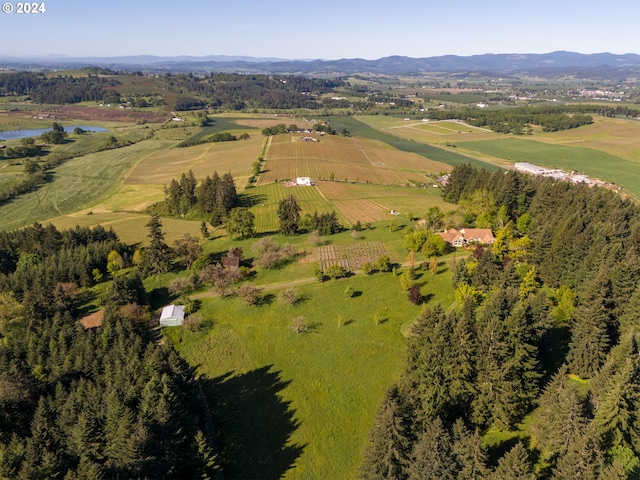 bird's eye view featuring a rural view and a water view