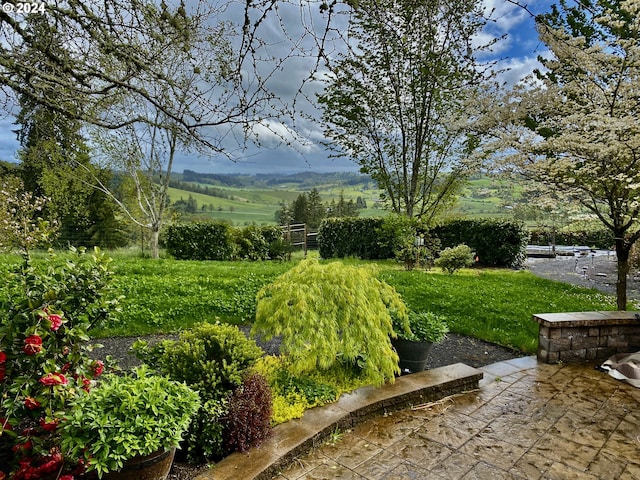 view of yard featuring a patio area and a rural view