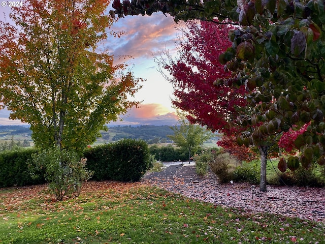 view of yard at dusk