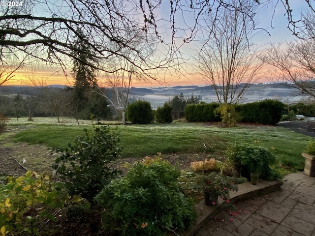 view of yard at dusk