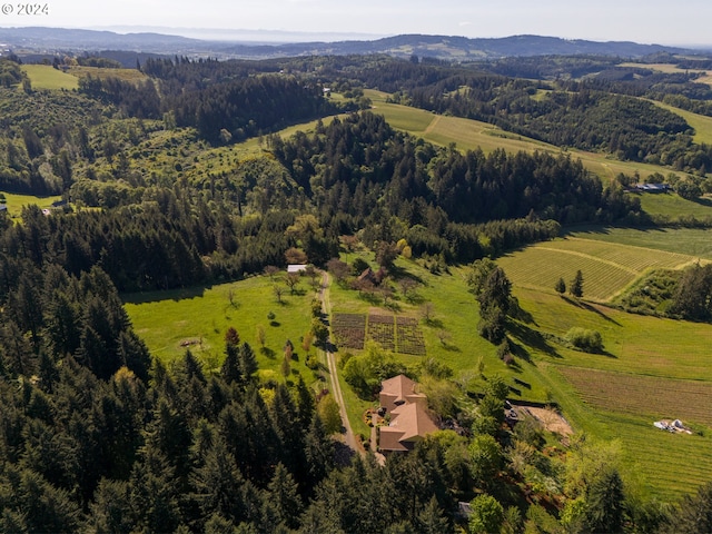 bird's eye view featuring a rural view