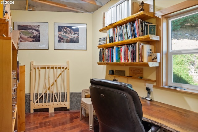 home office featuring hardwood / wood-style flooring