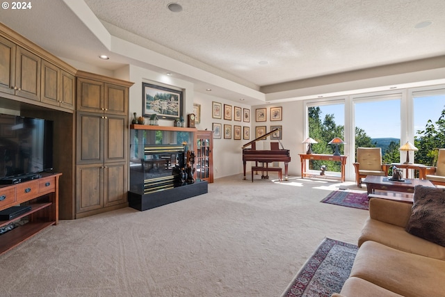 carpeted living room with a textured ceiling and a tray ceiling