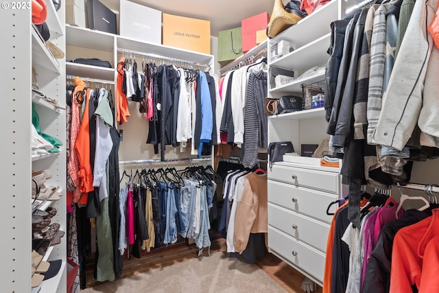 walk in closet featuring carpet flooring