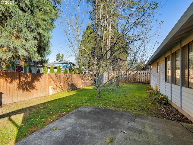 view of yard featuring a patio area