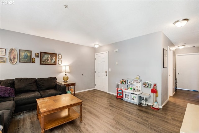 living room with hardwood / wood-style floors